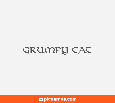 Grumpy Cat